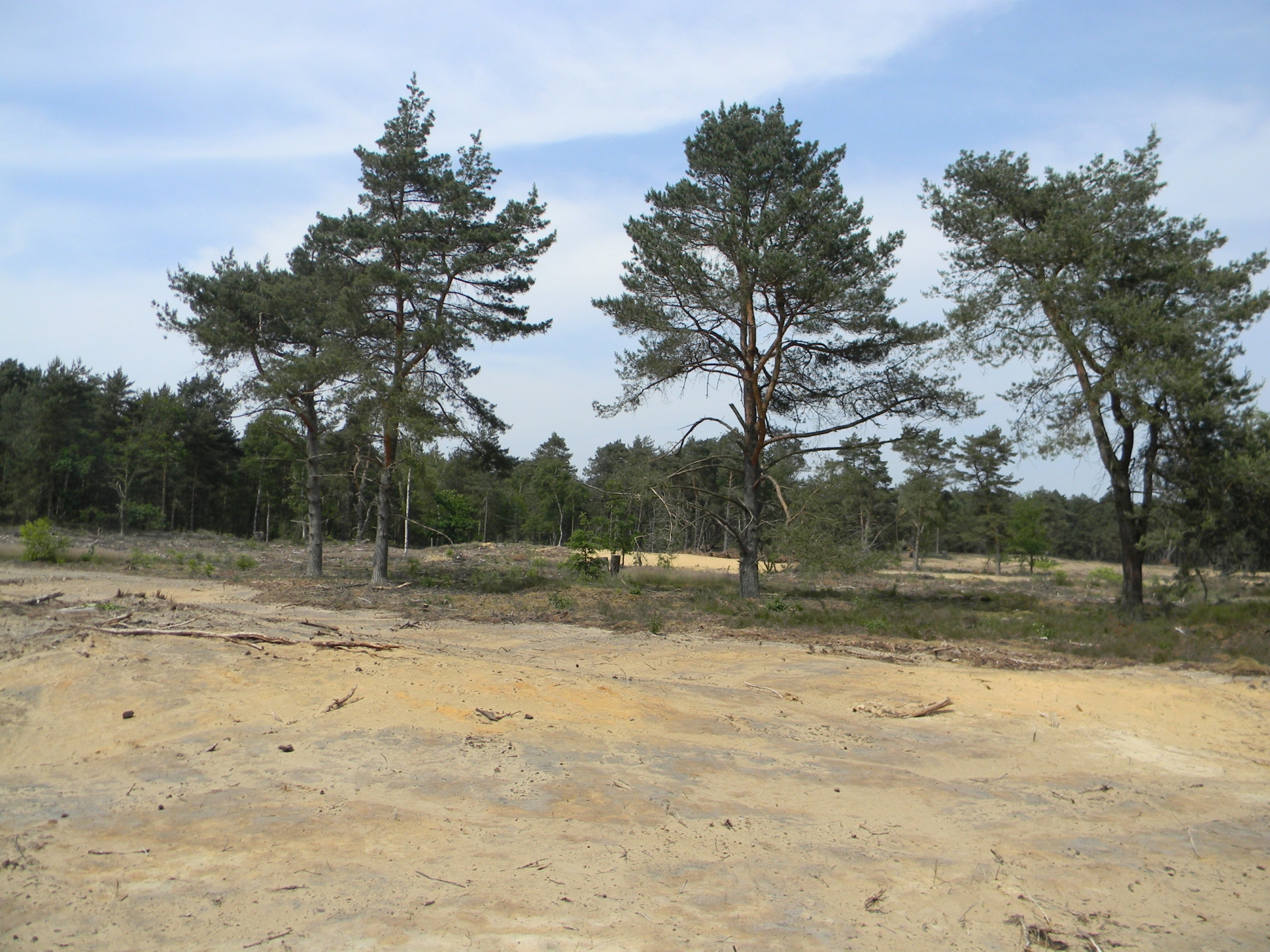 Restauration d’une prairie dunaire unique sur le domaine de Heihuyzen